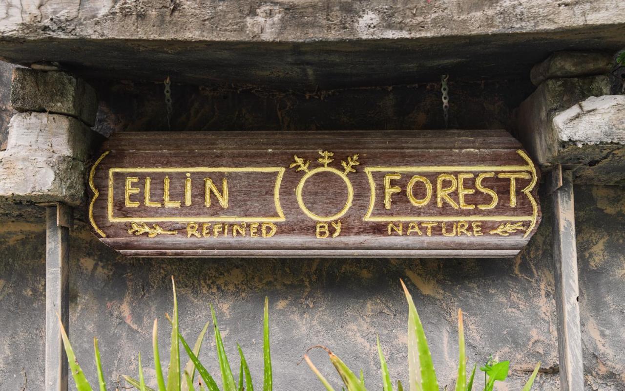 Ellin Forest Karaoke & Pool Resort Bukit Tinggi Bentong Kültér fotó